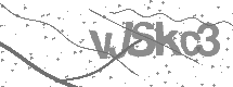 visual captcha